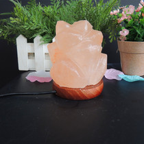 Himalaya USB plug LED colorful creative mini crystal salt lamp rose shape