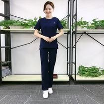 New Korean style wash suit split suit embroidered clothing pet hospital doctor nurse uniform short sleeve