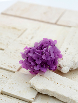 Domestic 1G Anna Hydrangea Yongsheng Flower Leaflet Good Quality Glue diy Earrings Flower Box Handmade Flower Materials