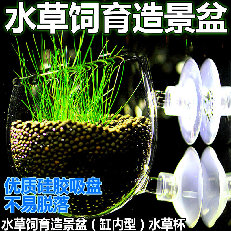 波爾卡杯水草種植盆飼育杯造景盆吸盤養水草花盆魚缸水族箱