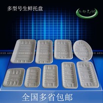 Supermarket thickened disposable fresh tray vegetables and fruits meat food packing white tray plastic square crisper