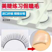 Meizi professional beginner planting grafting grafting false eyelashes novice students practice eyelash grafting eyelash tool set