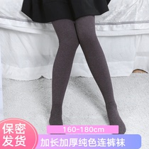 Autumn new multi-color 500D extended thick terry pantyhose micro-pressure thin ladyboy supplies in thick stockings moe