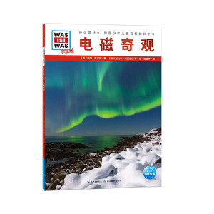 正版书籍电磁奇观 作者(德)奥陶·鲁尔斯著的书 湖北教育出版社 9787556429110书号开学季
