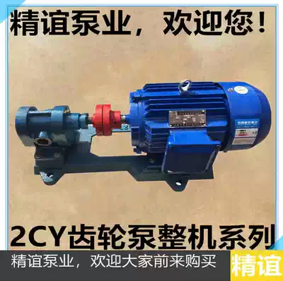 High temperature electric gear pump 2CY-4 2 2 5 gear oil pump supercharged fuel delivery oil pump with 5 5KW machine