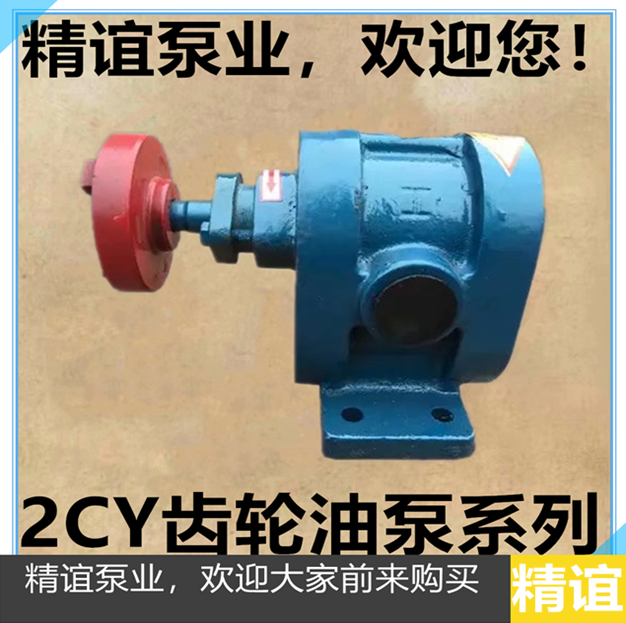 High temperature gear pump 2CY1 08 2 5 2 1 2 5 3 2 5 Gear oil pump slag oil pump self-priming pressure head