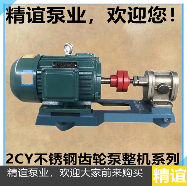 Manufacturer direct sales essence 304 material 2CY-7 5 2 5 gear pump corrosion resistant pump high-pressure pump stainless steel machine