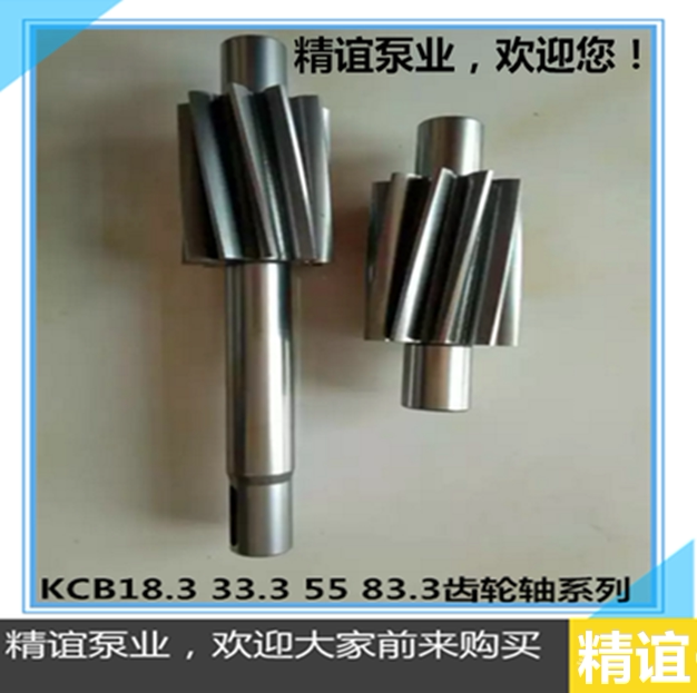304 Material Stainless Steel Gear Pump Accessories Kcb-18.3/33.3/55/83.3 Stainless Steel Pump Gear Shaft