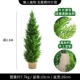 1,6 млн. Cypress + Grass Basket