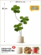 Qinyerong трехполюсный 180см бесплатный круглый цветочный горшок из полипропилена
