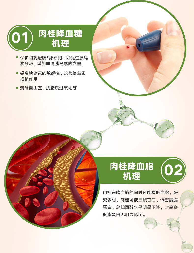GNC 健安喜肉桂胶囊