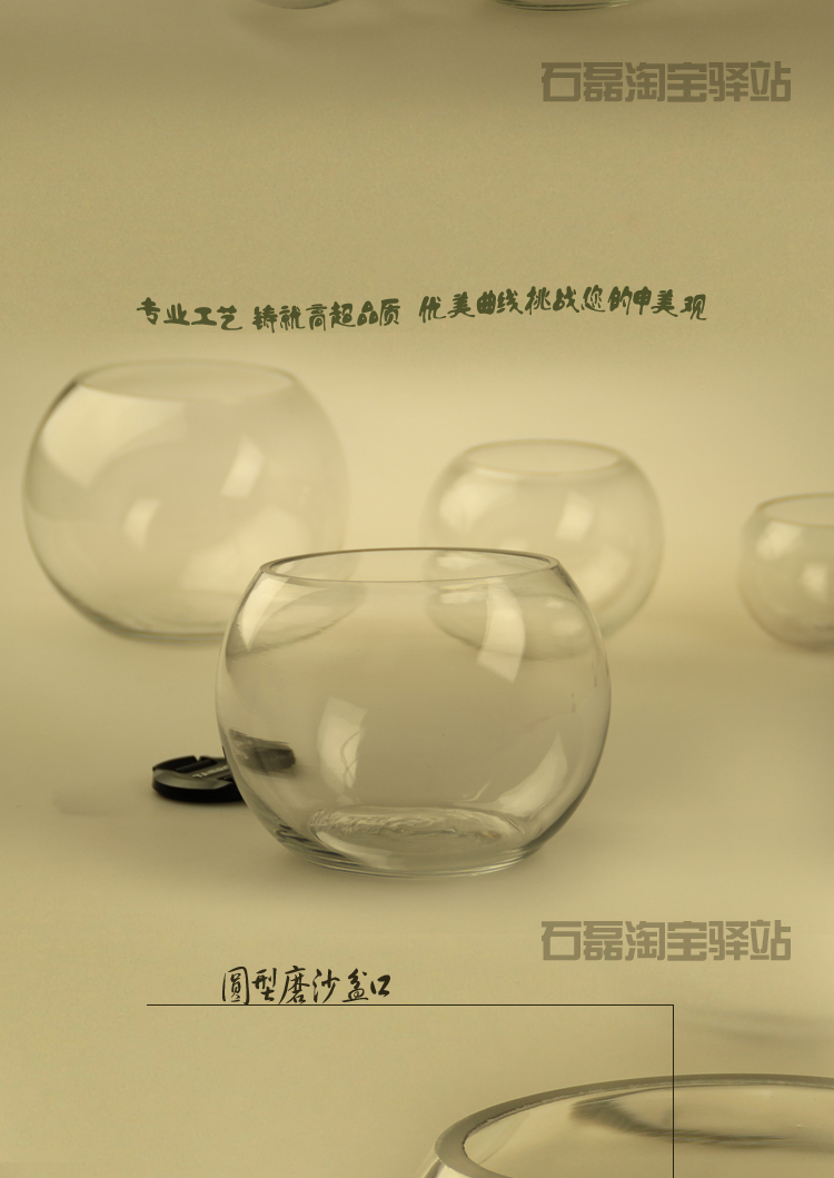 Bình thủy tinh Qihang chậu thủy canh chậu nước văn hóa tròn bóng bình thủy tinh bóng với giỏ cây cố định - Vase / Bồn hoa & Kệ lọ thủy tinh cắm hoa