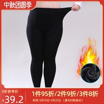 200 Jin plus fat plus size leggings women plus velvet padded elastic high waist fat mm one pants warm pants