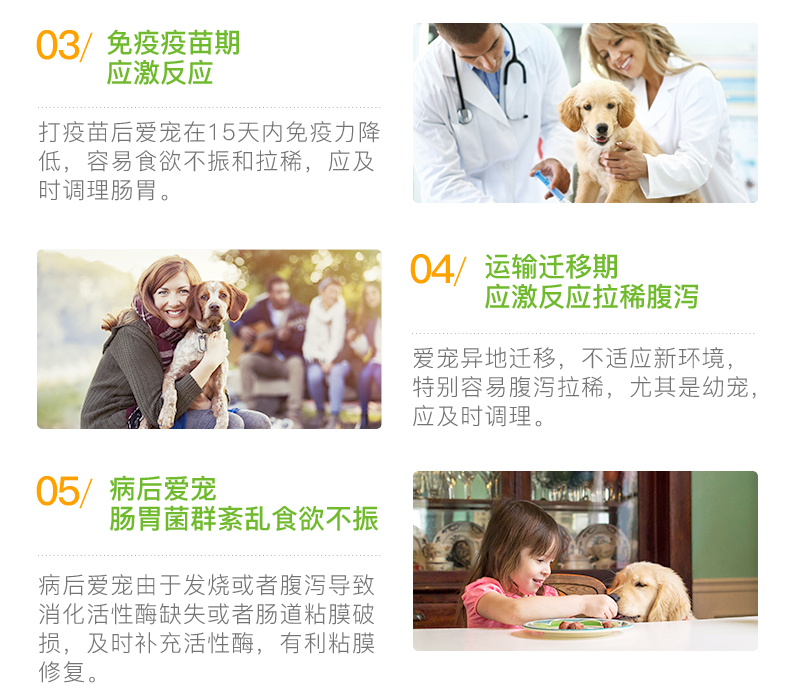 Thú cưng nhỏ dạ dày kho báu men vi sinh chó mèo mèo cưng đặc biệt gấu vàng lông chó con điều hòa dạ dày 10 bao bì - Cat / Dog Health bổ sung sữa predogen