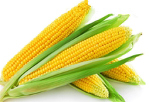 Fresh corn fruits corn two sweet corn Beijing-Tianjin-Hebei arbitrary 6 pieces