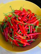 Fresh red millet pretzels red pepper red pretzels 100g Beijing-Tianjin-Hebei Arbitrary 6 Shunfeng