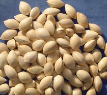 Fresh ginkgo ginkgo with skin ginkgo ginkgo with skin 500g any 6 pieces in Beijing Tianjin and Hebei