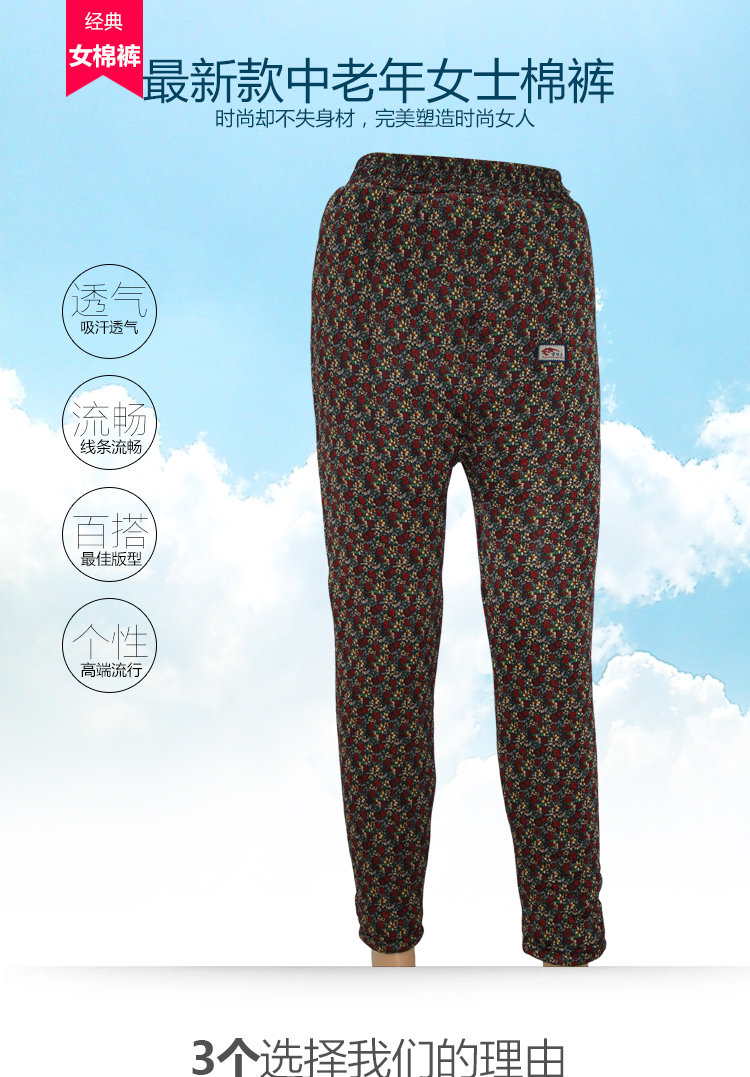 Pantalon collant Moyen-âge simple en nylon - Ref 749087 Image 6