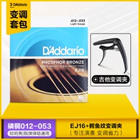 EJ16+ каподастр