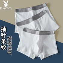 Playboy white underwear men summer thin cotton boxer 100% cotton crotch boys shorts head