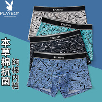 Playboy panties men mens summer 100% cotton crotch ice silk mesh sex confused thin antibacterial four-corner shorts DX