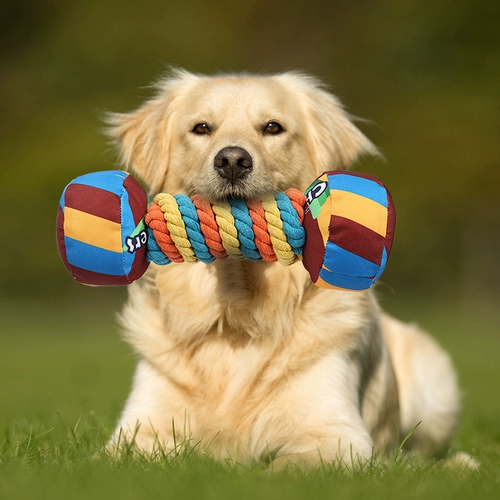 Doglemi Rainbow Twisted Candy Ball Серия собак, устойчивая к зубам и звуку, интерактивная игрушка-компаньон для путешествий и путешествий для собак