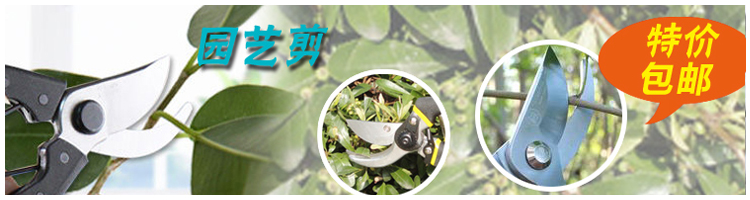 Thịt lát đá mưa màu đá nhỏ bể cá trang trí đầy màu sắc đá làm vườn cung cấp trong chậu trang trí trong chậu dụng cụ làm cỏ