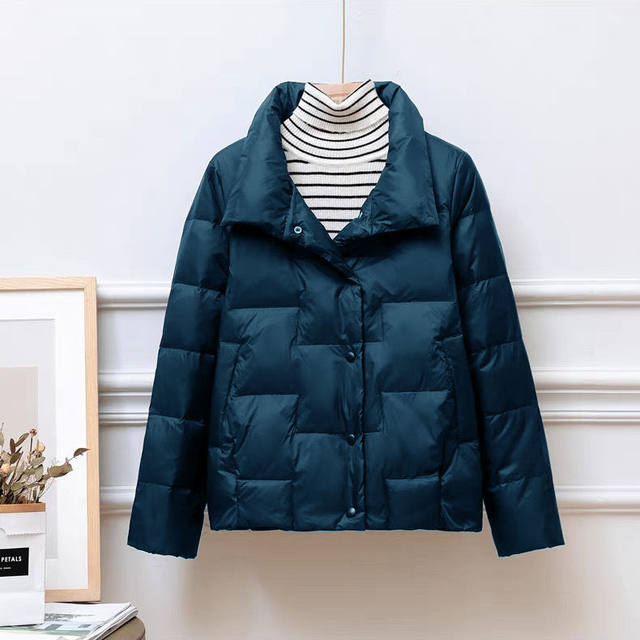 2023 ແບບວັນນະຄະດີ Stand Collar Down Jacket Cotton Women Winter Korean Style Loose Versatile Cotton Clothes Short Small Cotton Jacket Jacket