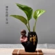 Sáng tạo nước xanh thủy bình hoa cây nước hoa bình hoa chai lọ nhỏ chai container trang trí bàn trang trí - Vase / Bồn hoa & Kệ