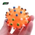 Pet puppy dog ​​toy ball vocal mol cắn đào tạo Teddy gấu con chó con mèo và chó đồ chơi vật nuôi