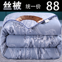 Thickened quilt winter quilted by the spring and autumn by space tunes by silk cotton by a core warm winter double 10 catty winter