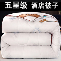Five Star Hotel Quilt Silk Cotton Quilt Core Winter Quilted By Winter Spring Autumn Winter Guest House Single Double Bed Thickened