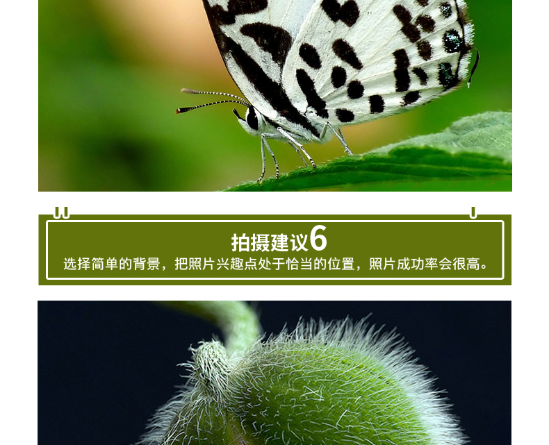 Jumeirah ống kính macro cận cảnh ống kính 248 lần so với bộ quần áo đồng máy ảnh Sony Canon Nikon SLR chấp nhận bộ lọc kính lúp - Phụ kiện máy ảnh DSLR / đơn mua tripod