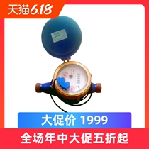 Reed switch double pulse signaling remote transmission water meter to 485 meter water and electricity engineering pointer wheel combination high quality level 2