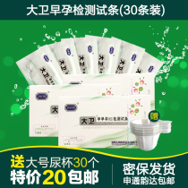  David pregnancy test paper 30 early pregnancy early pregnancy test paper pregnancy test stick pregnancy test pregnancy test free 30 urine cups