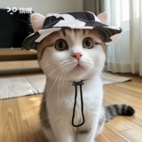 Кошачья шляпа, милый летний козырек с открытыми ушами для собаки, солнцезащитный козырек, немецкая кошка, британская короткая шапка для котенка, рыбака