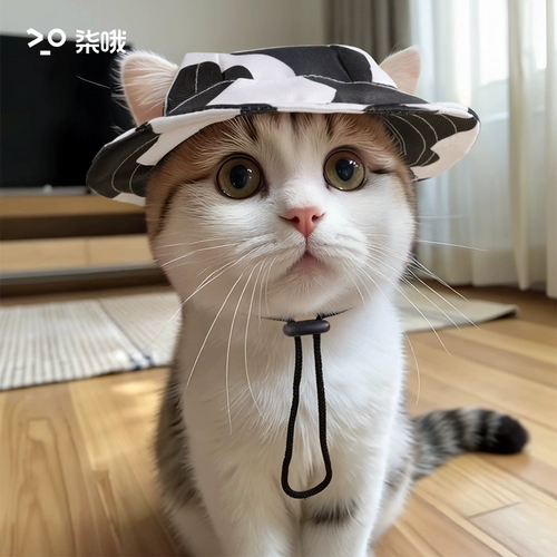 Кошачья шляпа, милый летний козырек с открытыми ушами для собаки, солнцезащитный козырек, немецкая кошка, британская короткая шапка для котенка, рыбака