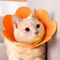 Оранжевый подсолнух