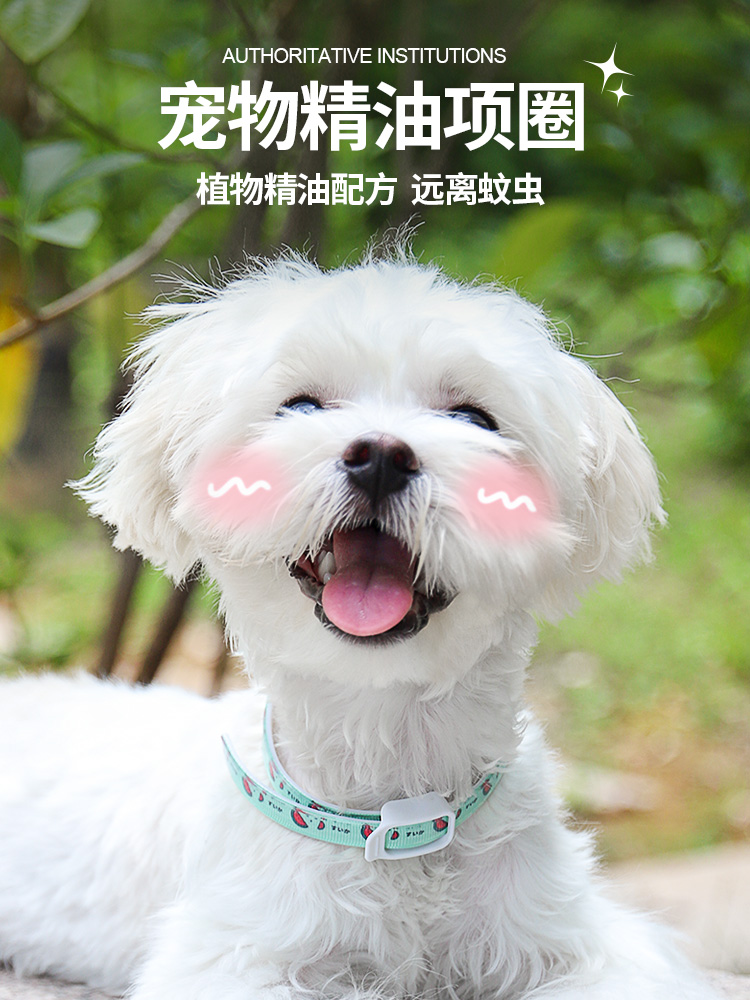 <!--狗狗驱虫项圈猫咪项圈去除蚤防虱子除跳蚤药猫圈宠物脖圈用品大全-->
