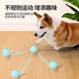 Собачья игрушка мяч самозваний и скучные собачьи щенки щенки