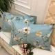 Gối gối cotton gói cặp gối người lớn 100% cotton đơn với cặp đôi mùa hè Hàn Quốc gối chống trào ngược cho trẻ sơ sinh