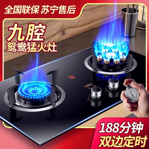 Good Lady Gas Double Plant Homenel Channel Embedded Natural Gas Plag