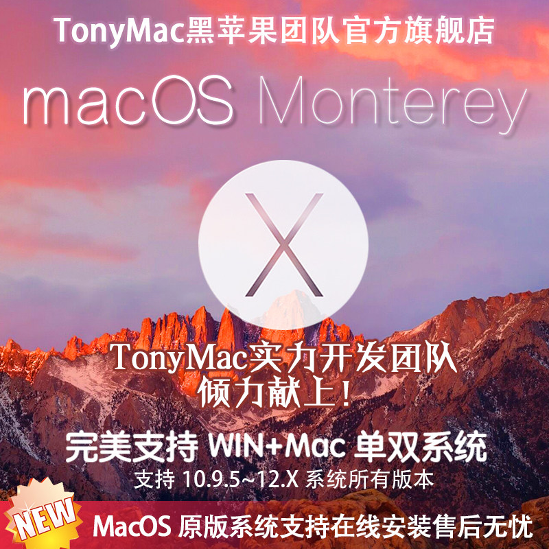 Black Apple System PC Lenovo Dell HP Asus Big sur11 Monterey12 Remote Installation Original