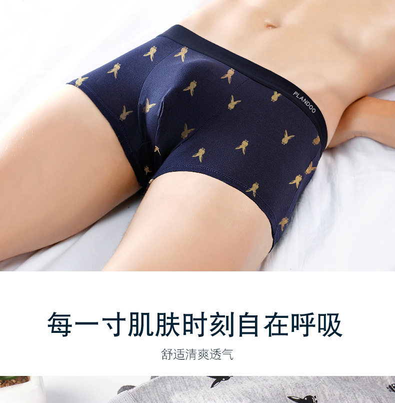 帕兰朵 男士 银离子抗菌内档 纯棉内裤 4条 图5
