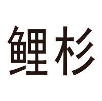 鲤杉定制