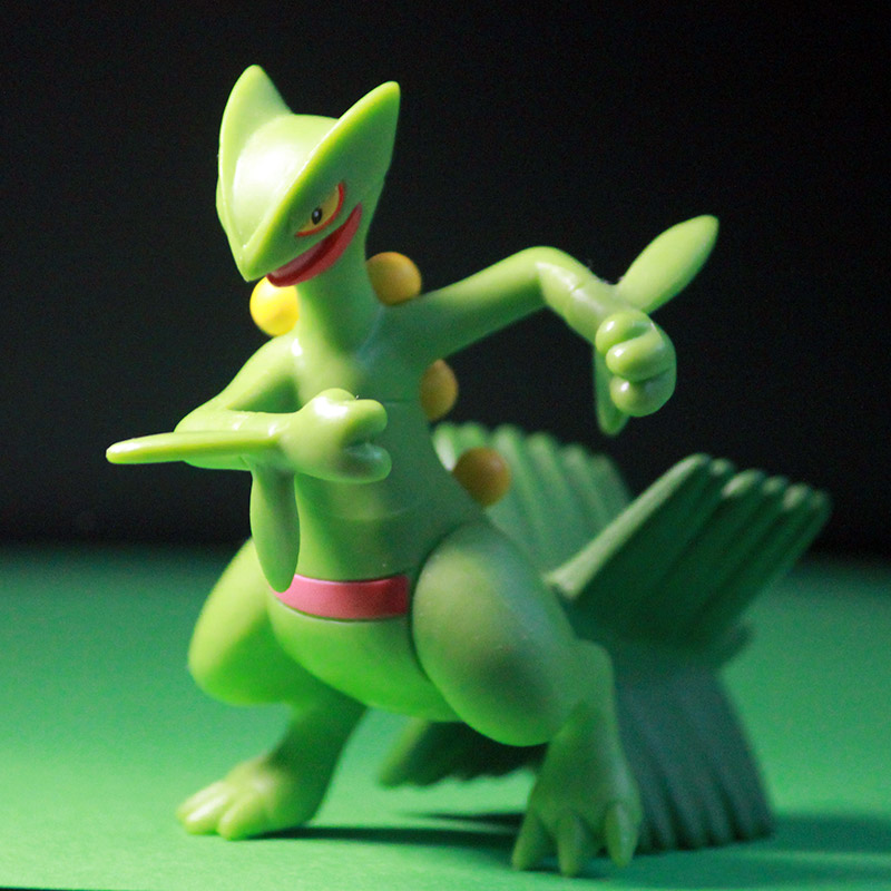 Box No Box Genie Treasure Dream Genre Treasure Dream Model Mouth Bag Demonic Wooden Patron Forest Lizard Lizard King