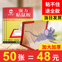 Purple Dream Garden sticky mouse board super strong catch mouse board paste glue drive environmental protection mouse artifact Buster Home