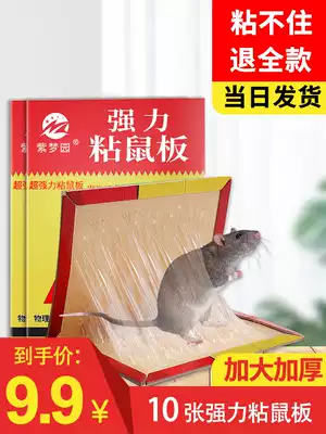 Purple Dream Garden sticky mouse board super powerful household catch mouse board adhesive drive glue drive environmental protection rat trap artifact