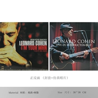 Запись симуляции/2