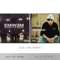 Запись симуляции/13